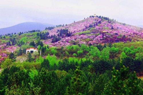 碾子山区全要素布局旅游产业