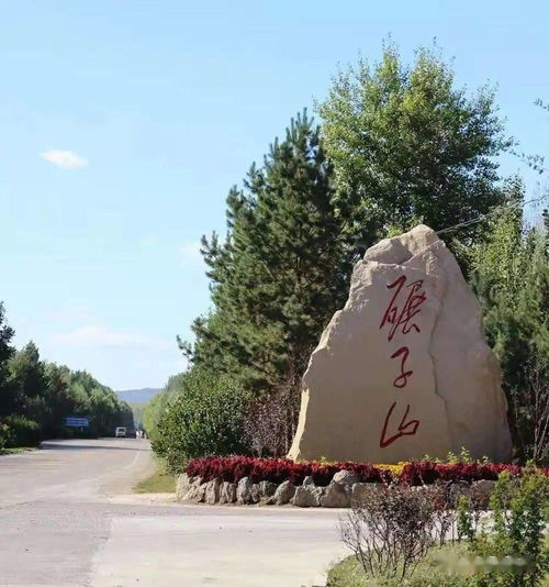 这里不止 鹤 赫有名