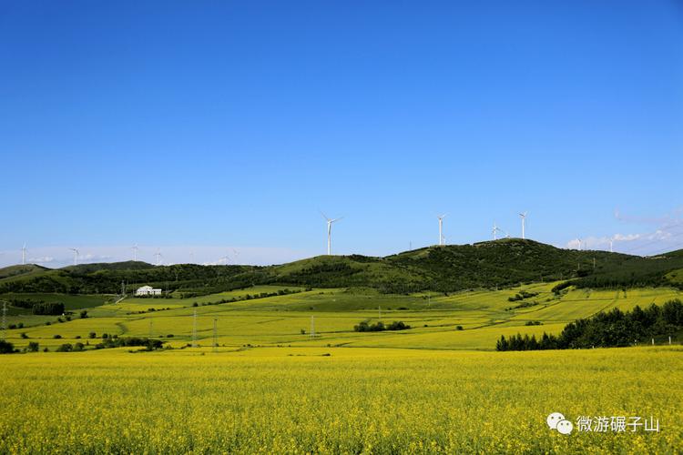 碾子山旅游区一探碾子山赏花攻略!